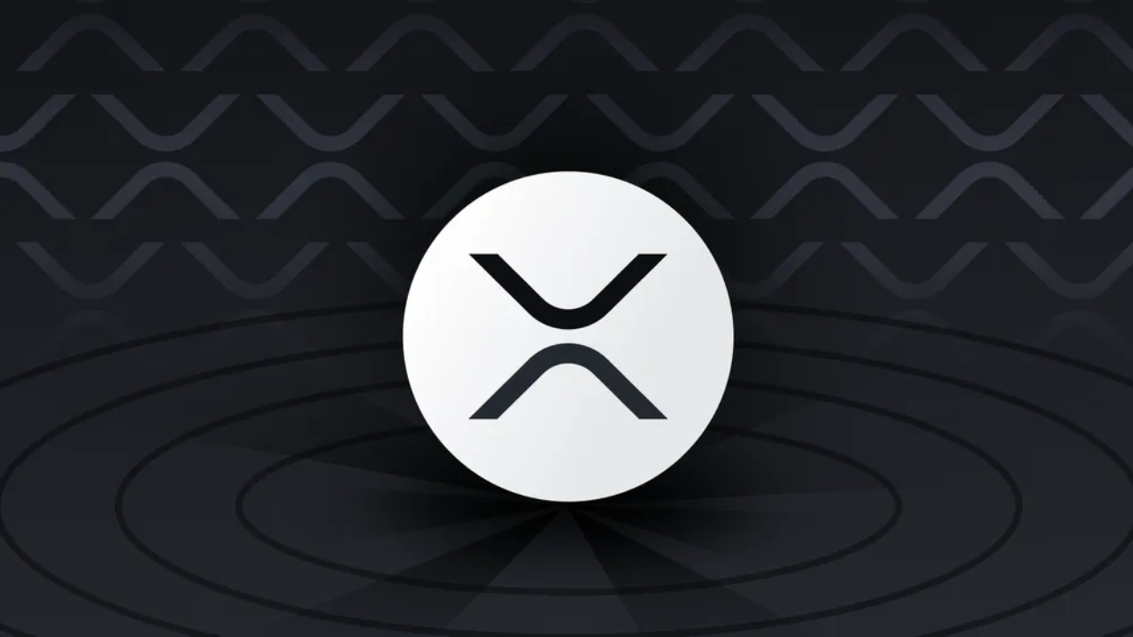 XRP Ledger atinge máxima de 5 semanas em atividade enquanto carteiras superam 7,7 milhões