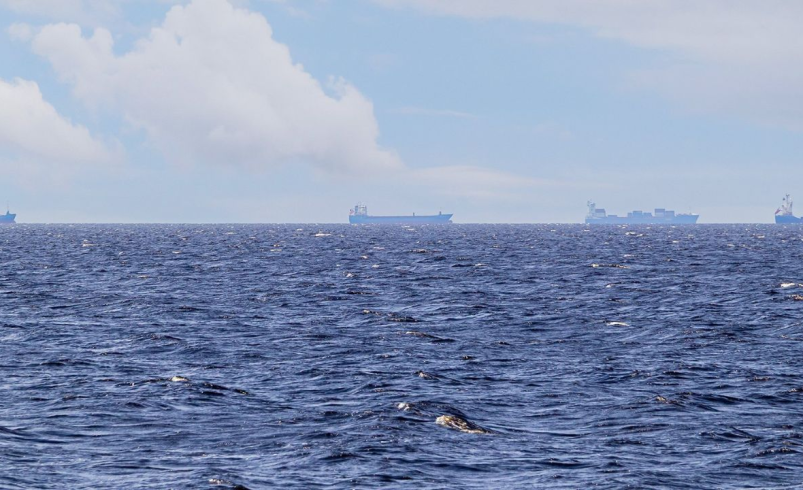 ONU prepara evacuação em massa de mais de 11 mil marinheiros bloqueados no Estreito de Hormuz